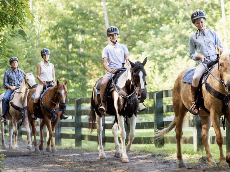 The Homestead Resort – Hot Springs, VA